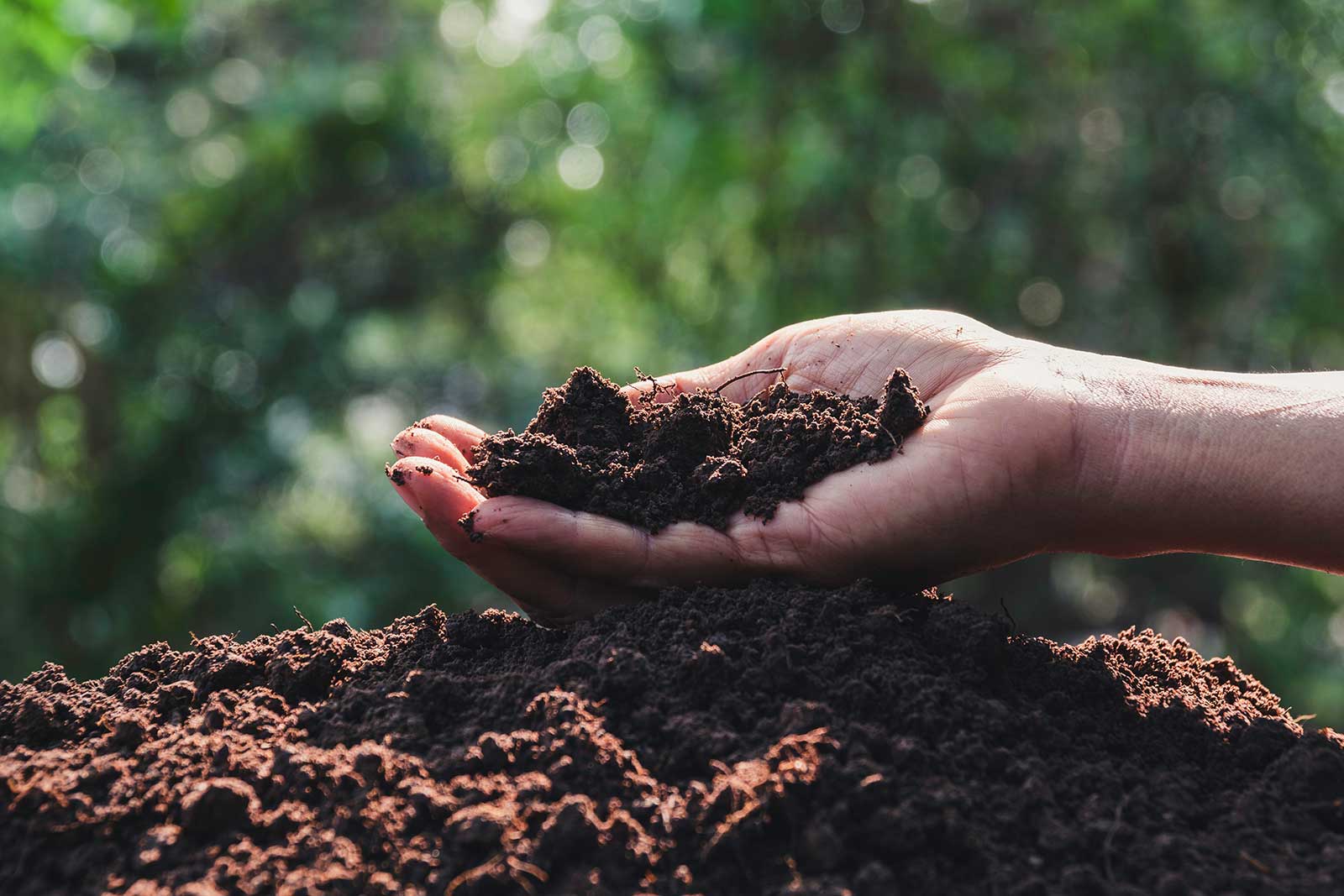 10 Facts About Soil Health You Didn’t Learn in School