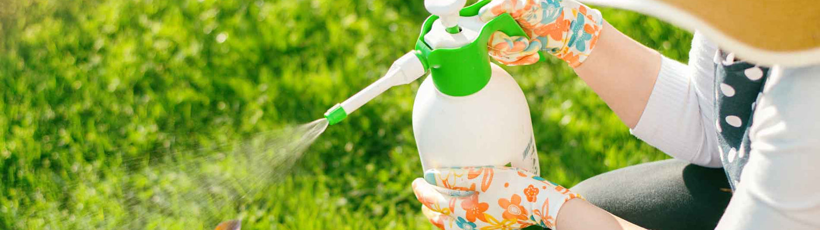 Ditch the Chemicals: Natural Solutions for Pest & Disease Control