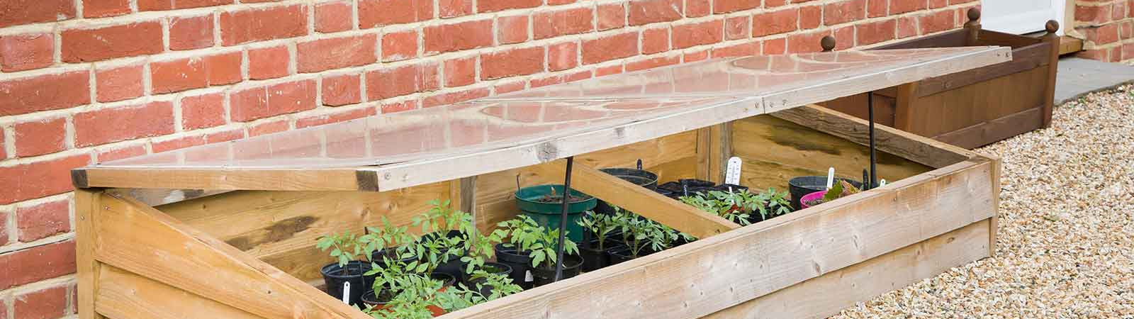 How To Start Planting In Early Spring