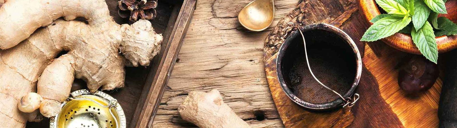 ginger the roots of medicine