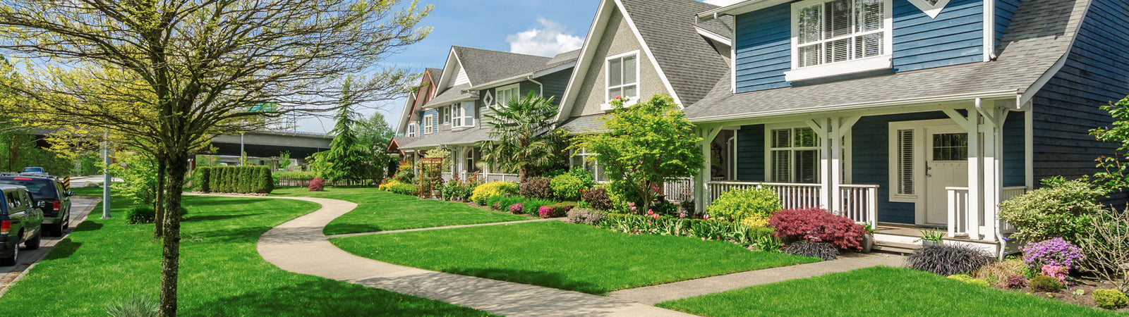 Step Up Your Curb Appeal with Healthy Lawn Soil