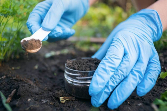 history of soil science