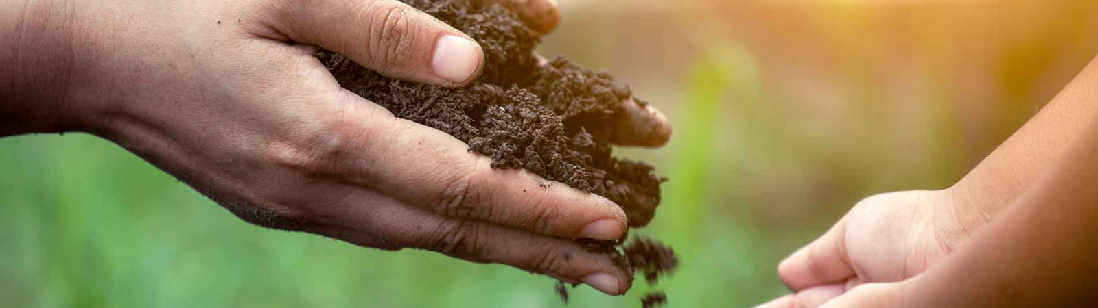 If Humic Acid is in the Soil, Why Do We Need to Add it?