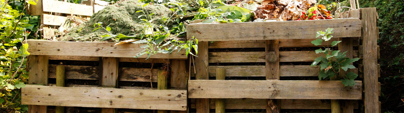 Humic Acid as a Compost Accelerator
