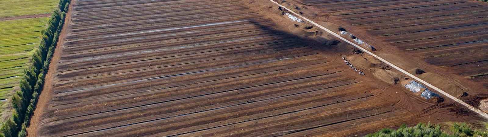 Humic and Fulvic Acids For Soil Health