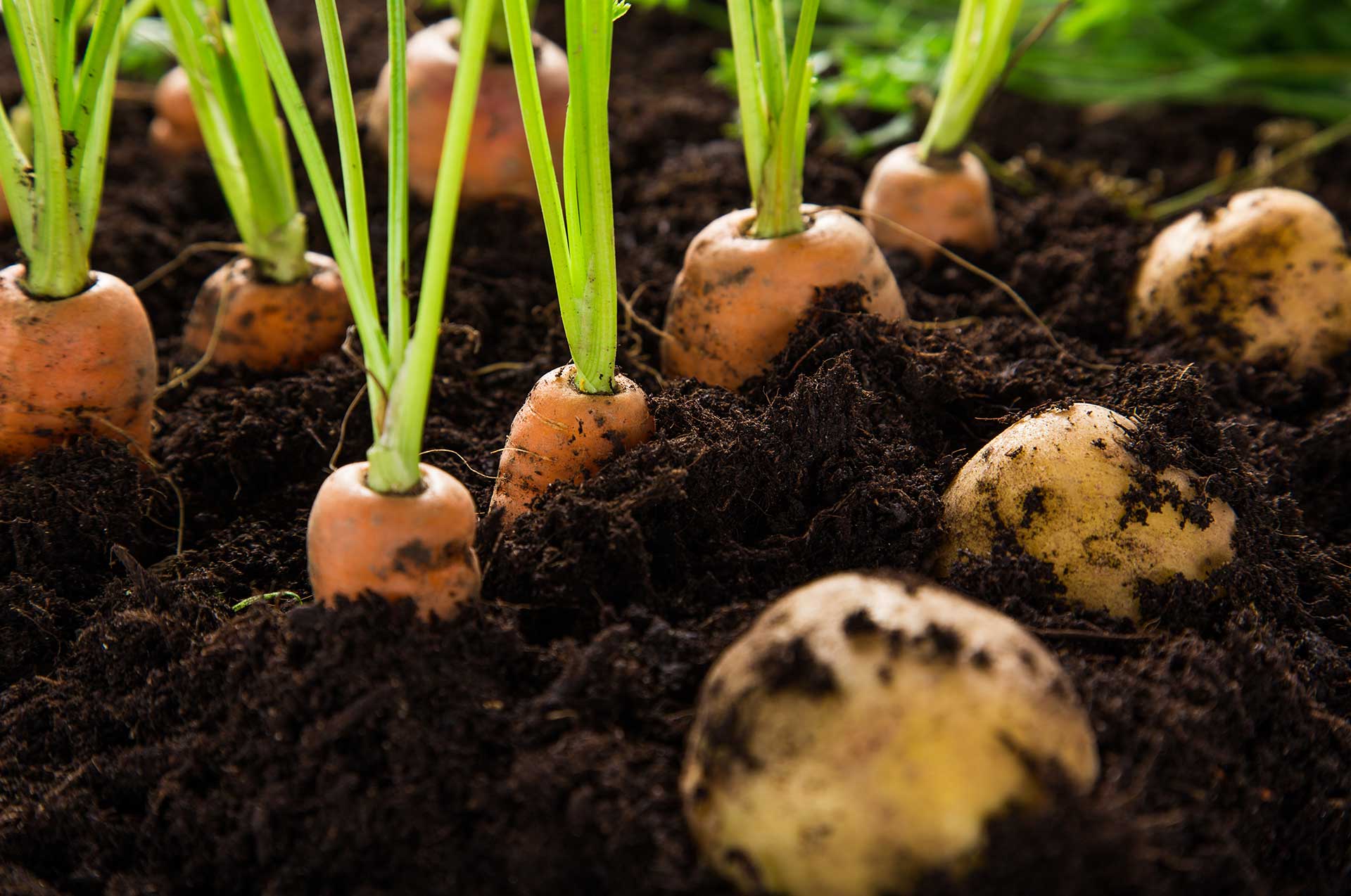 increased farm profit starts with healthy soil