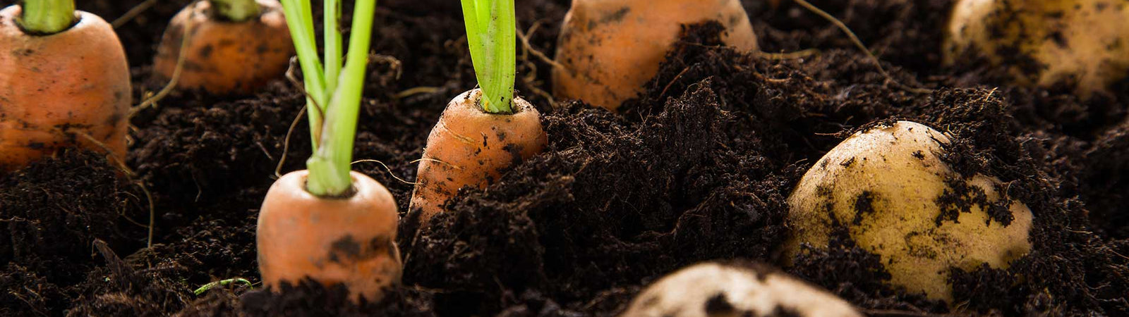 increased farm profit starts with healthy soil