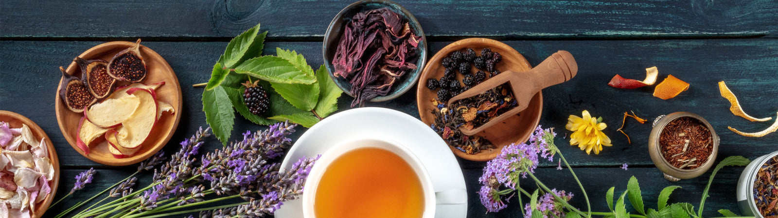 Easy-to-Grow Options for a Medicinal Herb Garden