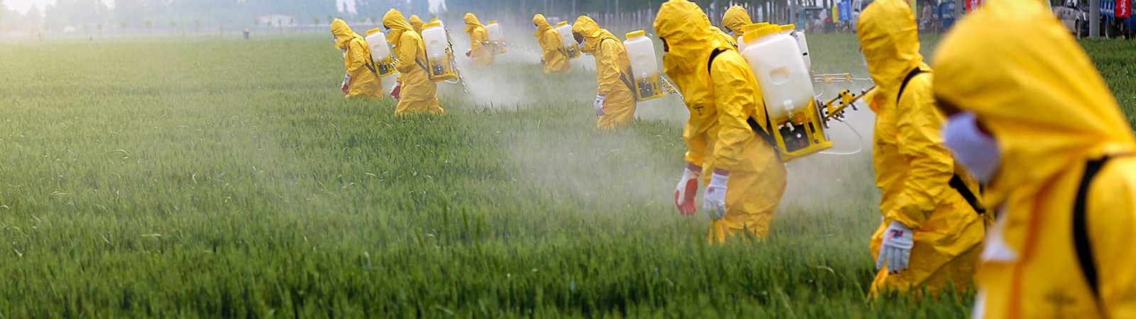 Organic Farming Doesn’t Mean Chemical-Free