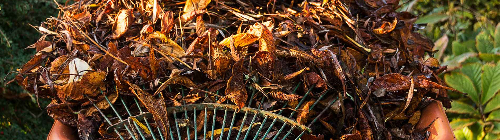 the importance of organic matter