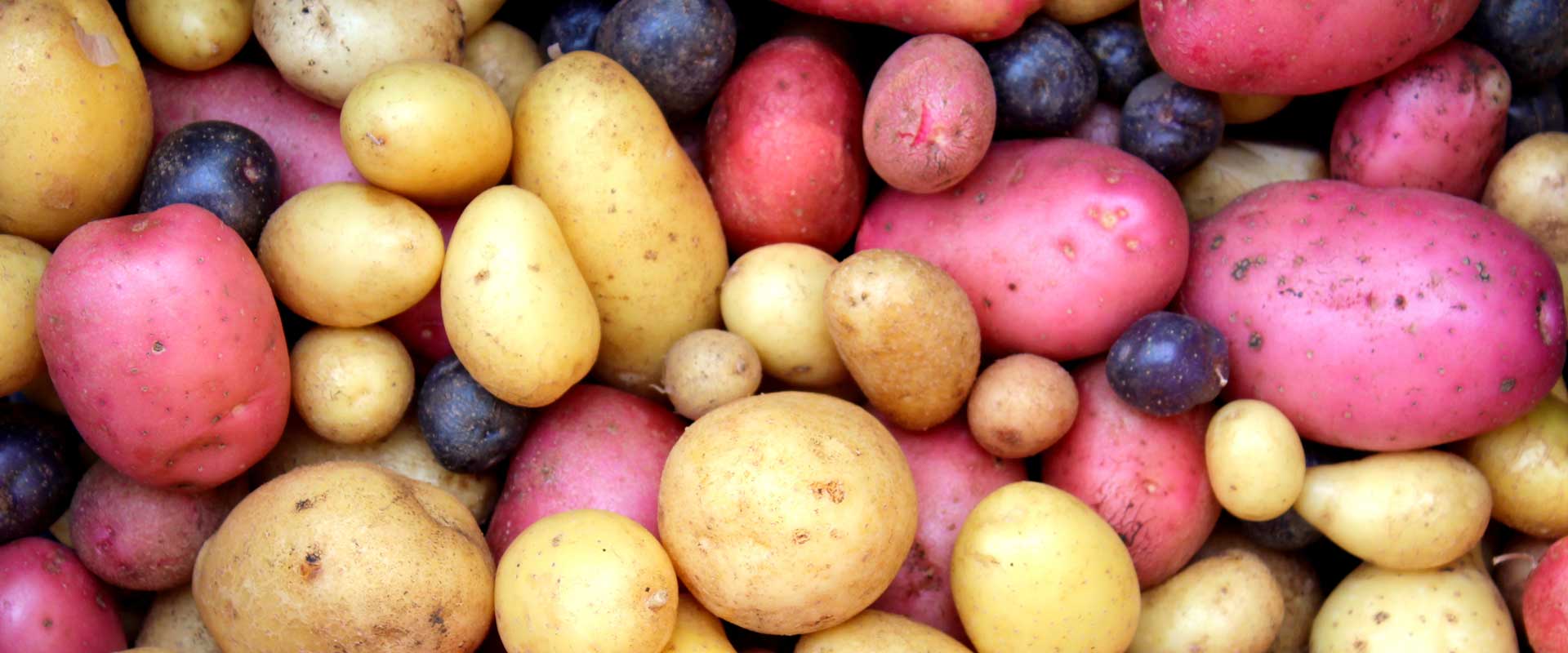 Potatoes