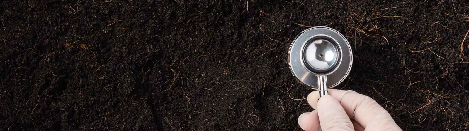 what is soil health