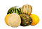 Melons