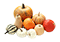 Squash