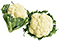 Cauliflower