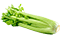 Celery