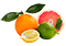 Citrus Fruits