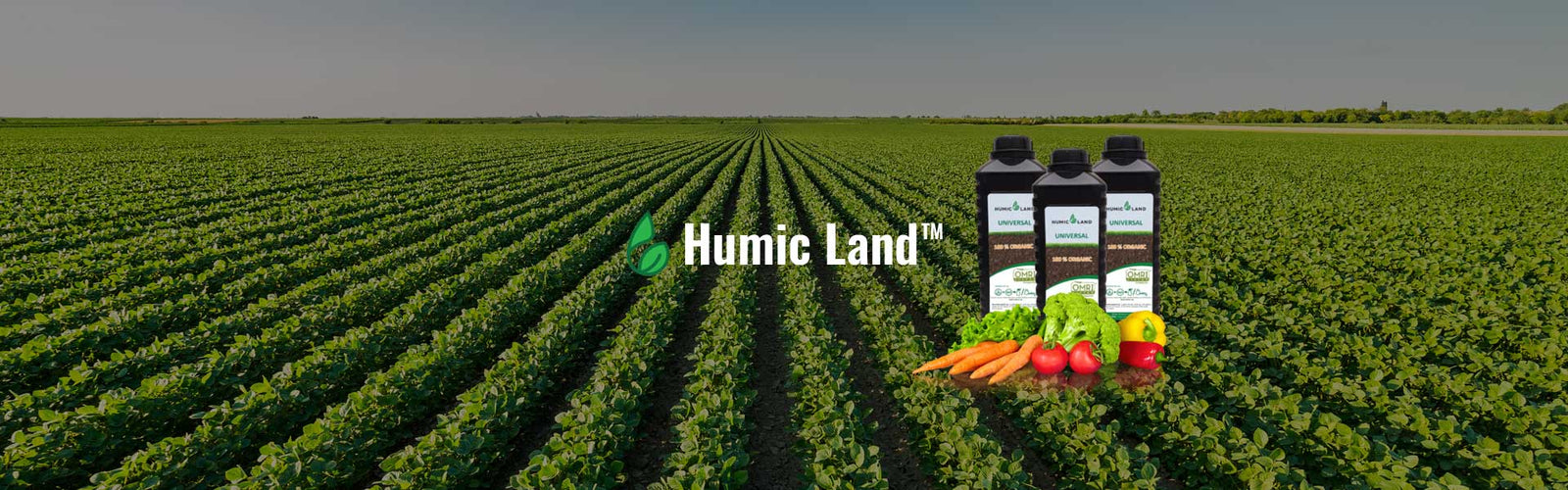 humic land case studies