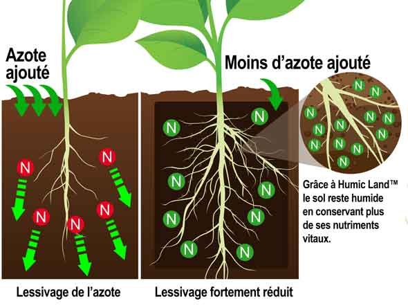 reduce nitrogen leaching in soil