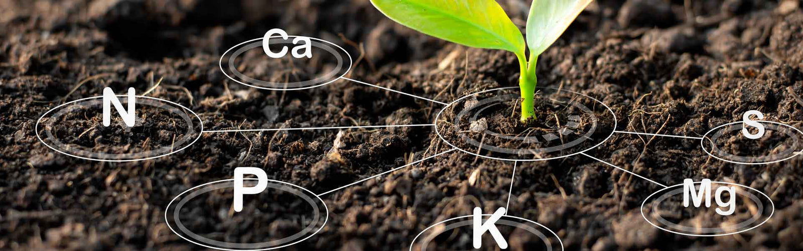 soil analysis - soil assessments - npk