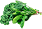 Spinach & Kale
