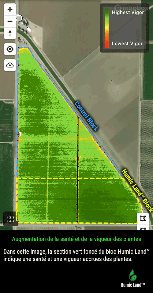 tomato yields case study increased plant health and vigor - Humic Land™