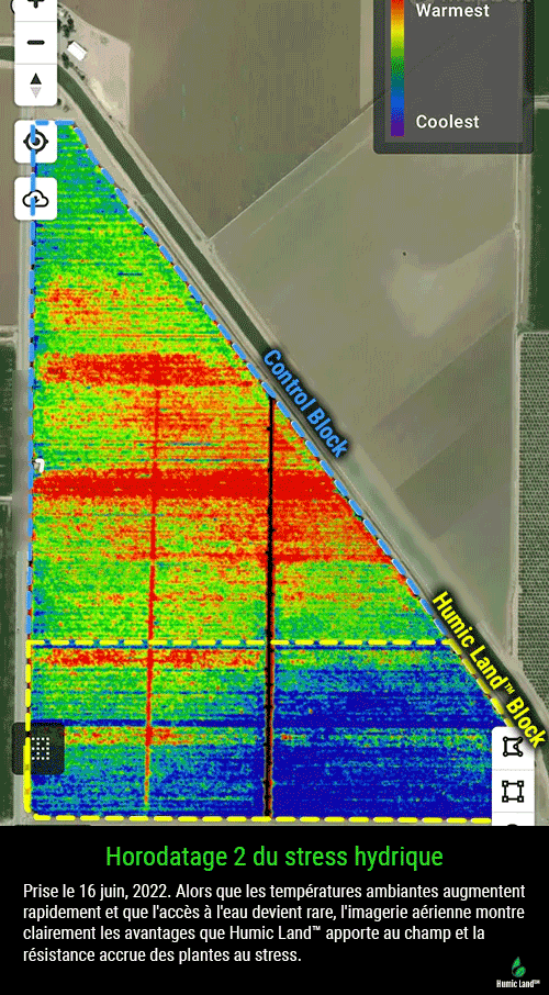 tomato yields case study water stress June 2022 - Humic Land™
