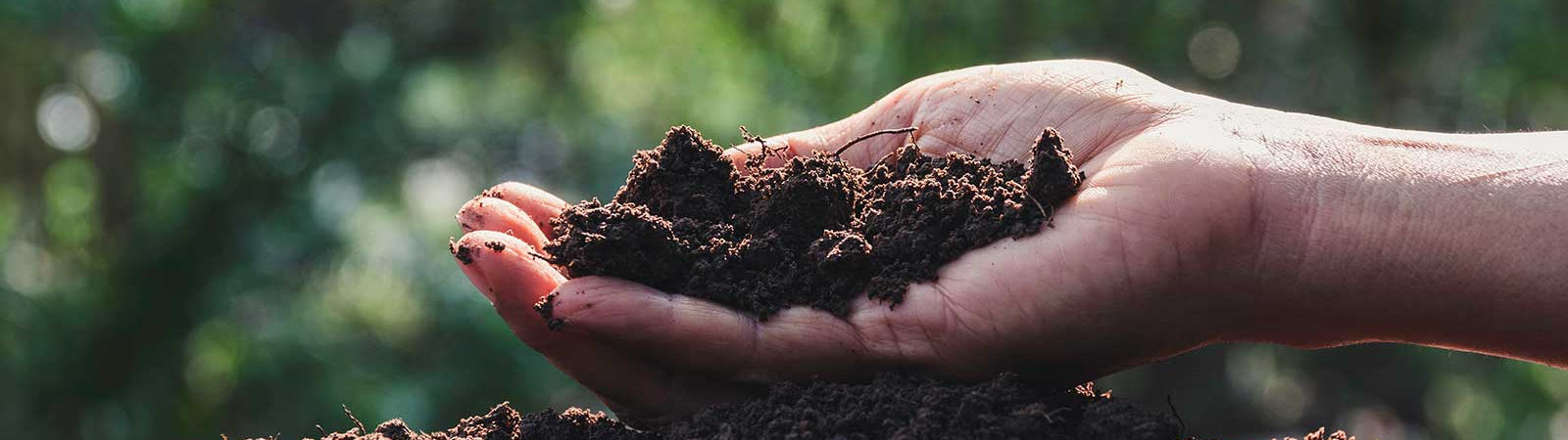 10 Facts About Soil Health You Didn’t Learn in School
