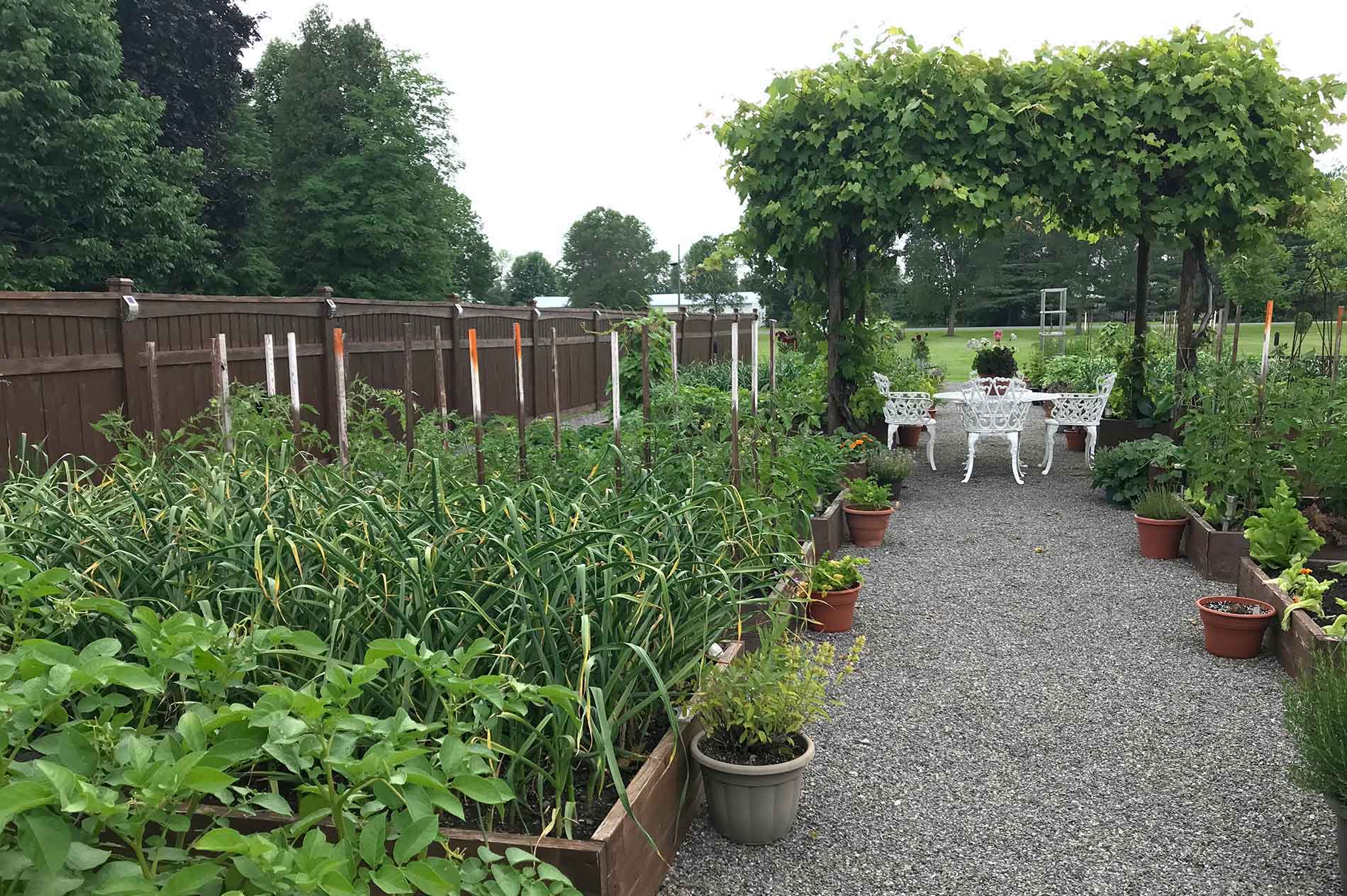 Midsummer Garden Assessment