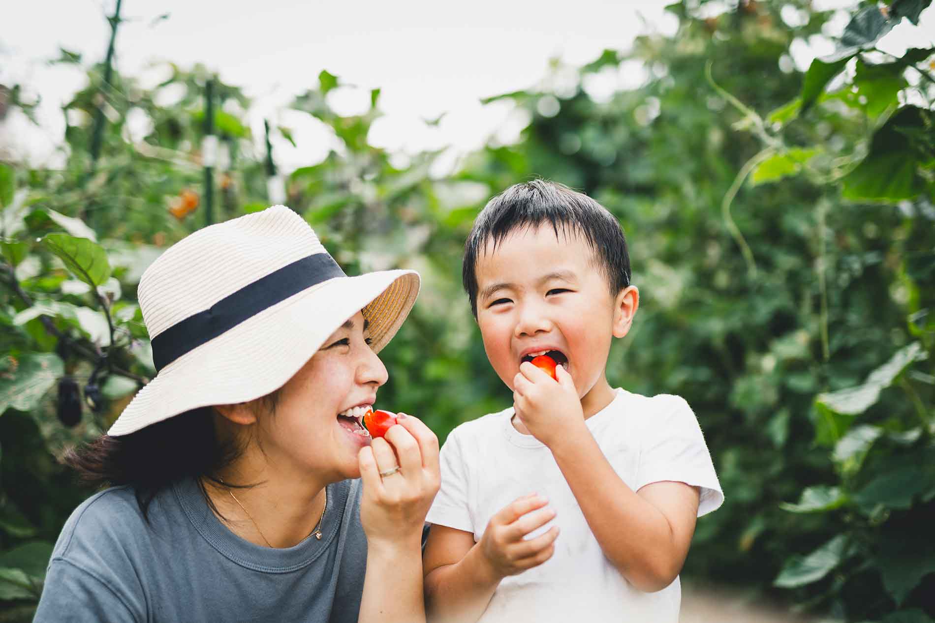 The Connection Between Soil Health & Gut Health
