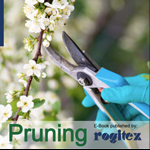 eBook: Pruning