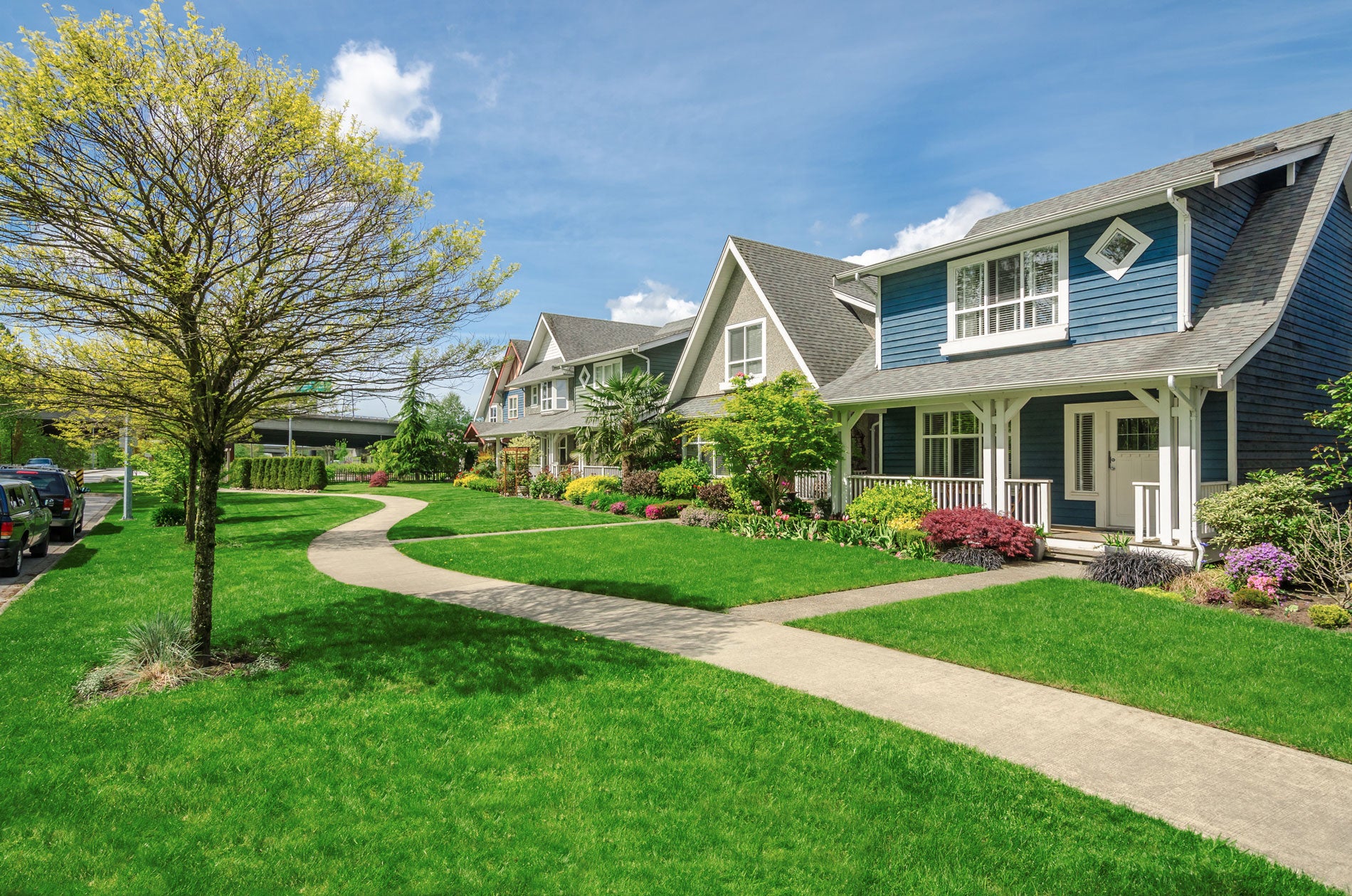 Step Up Your Curb Appeal with Healthy Lawn Soil