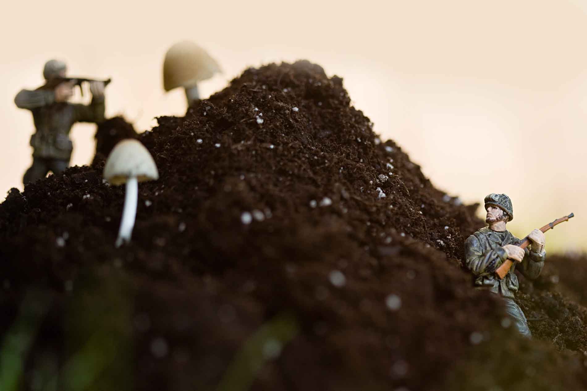 Teaming up with a Micro Army