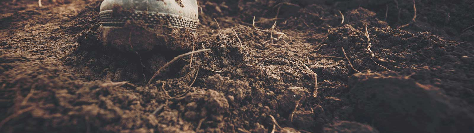 Soil-Borne Disease & Human Health