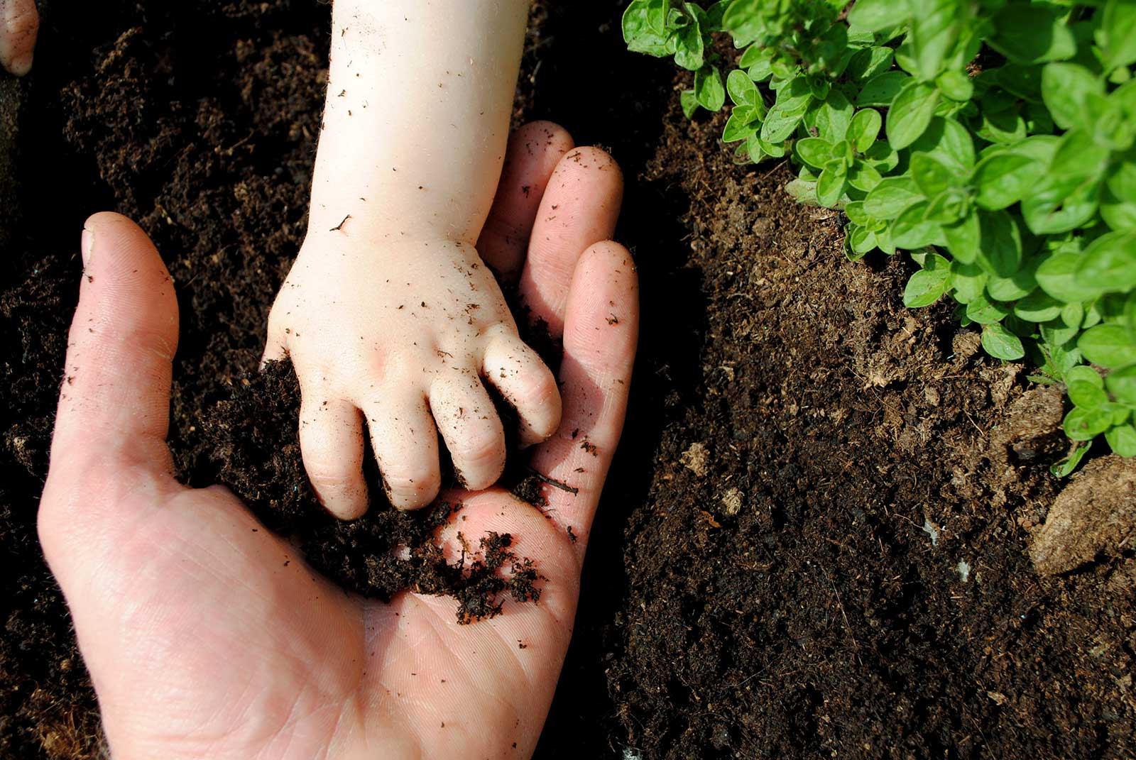 Why Soil Microbes Are Key To Your Health