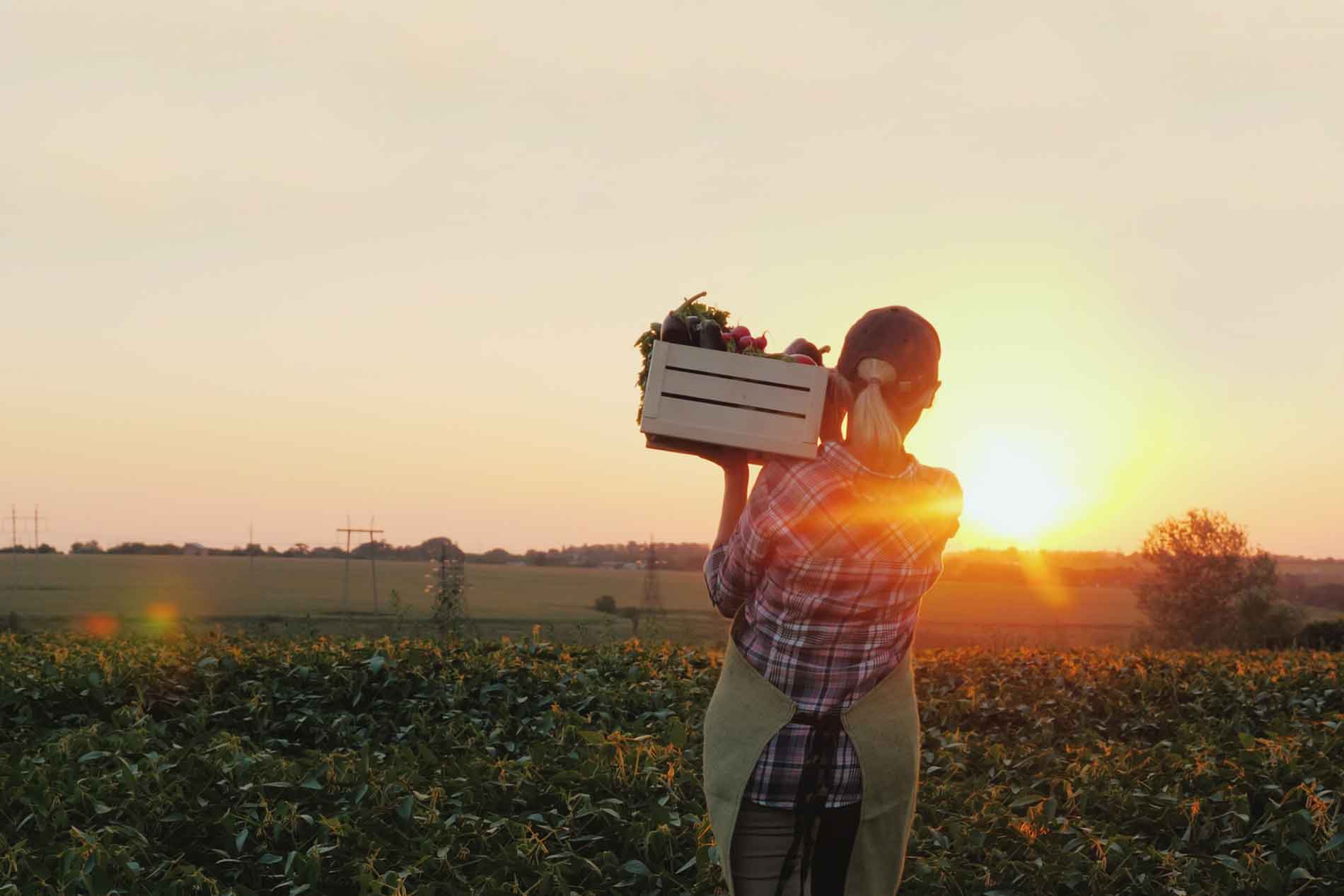 farming and solving for climate change