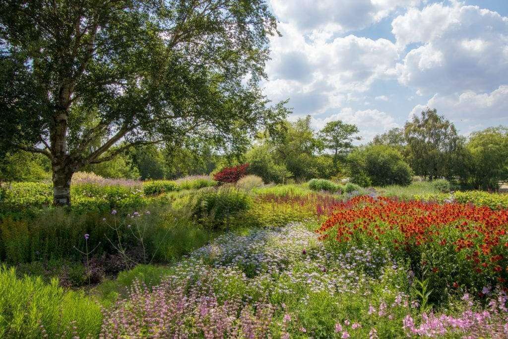The Garden