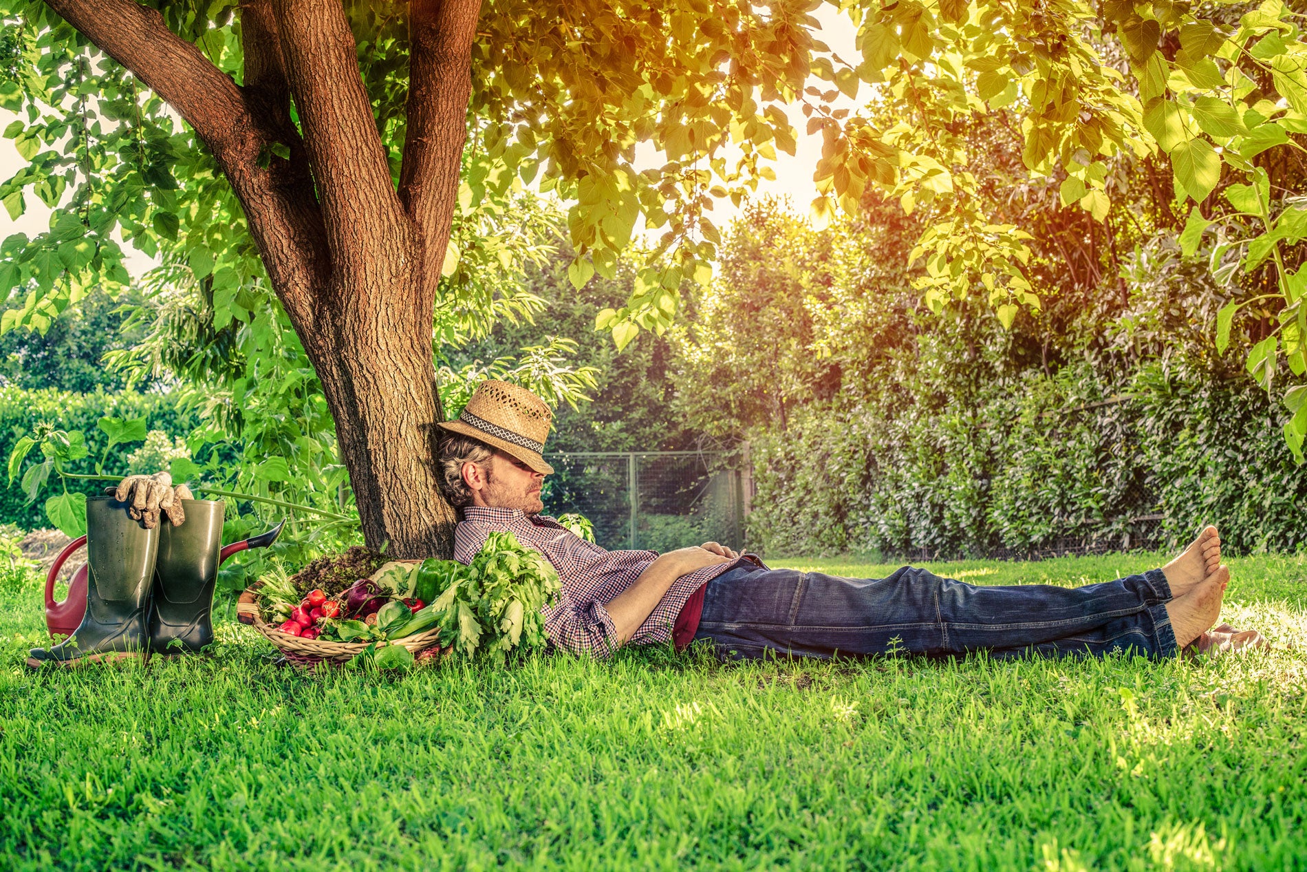 The Lazy Gardener - 8 Simple Tips to Make Gardening a Breeze
