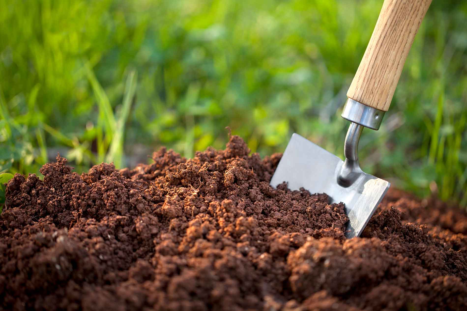 tillage of the soil