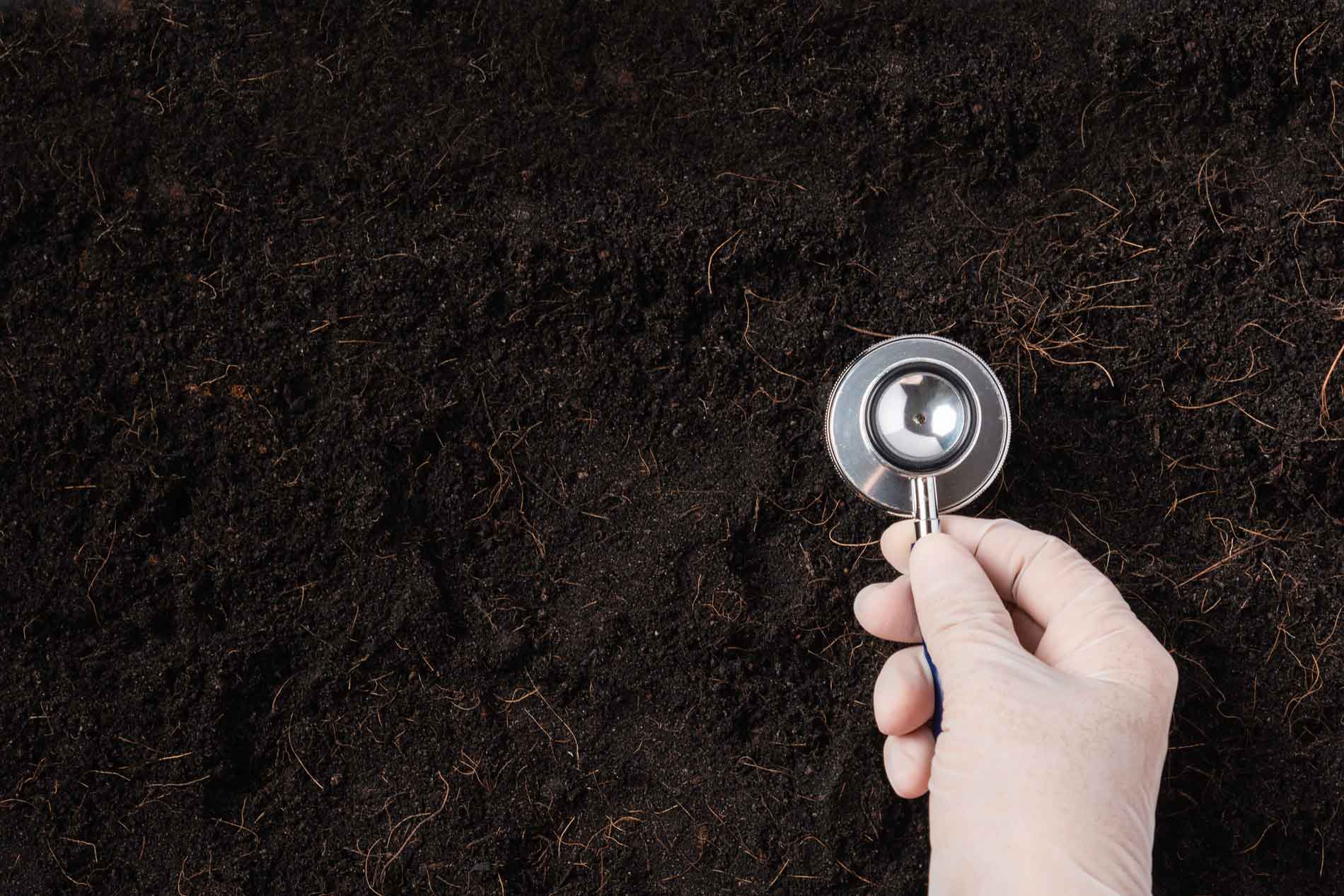 what is soil health