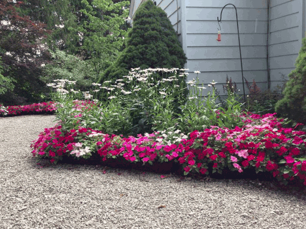 raised flower beds with gardensoxx