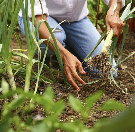 good soil structure