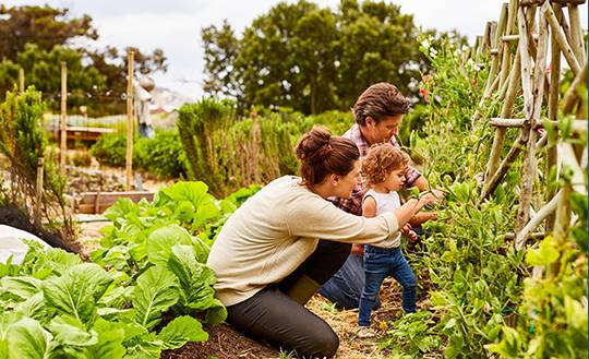 family on farm