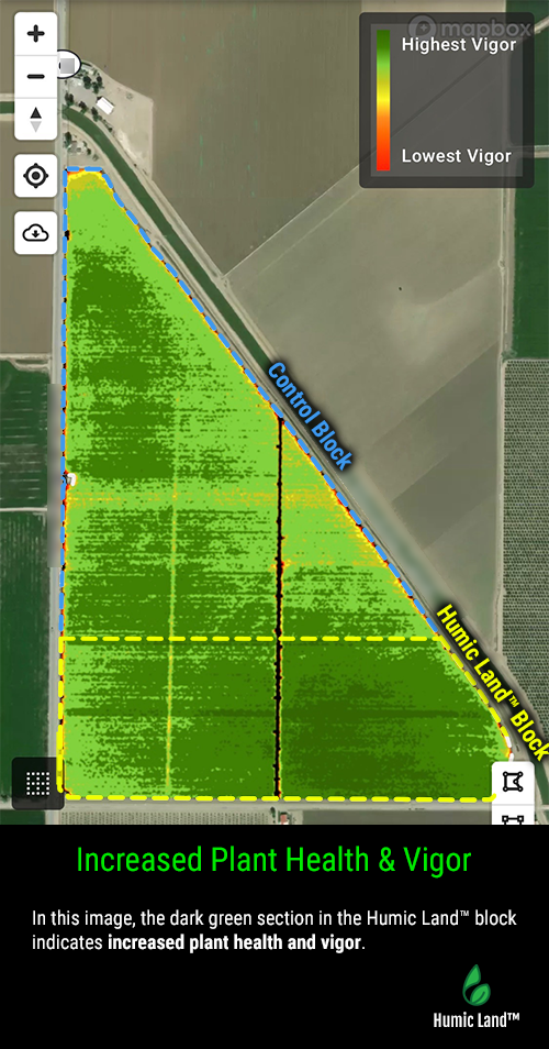 tomato yields case study increased plant health and vigor - Humic Land™