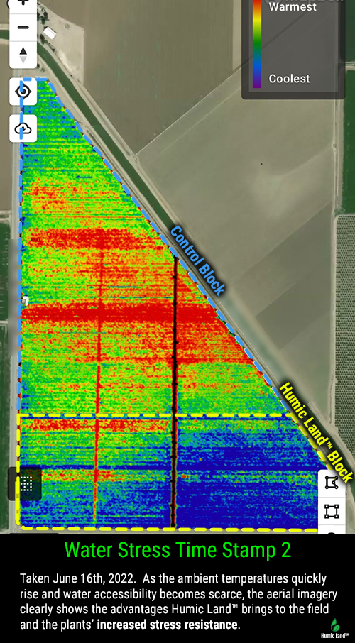 tomato yields case study water stress June 2022 - Humic Land™