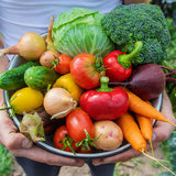 healthy garden vegetables